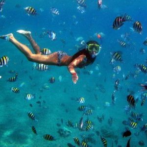 Snorkeling in Bali